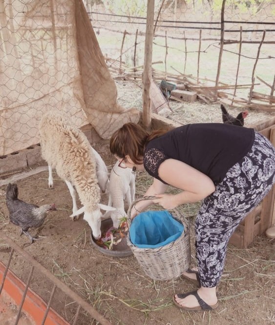 Visite des animaux de la ferme lors de l_atelier cuisine berbere 1