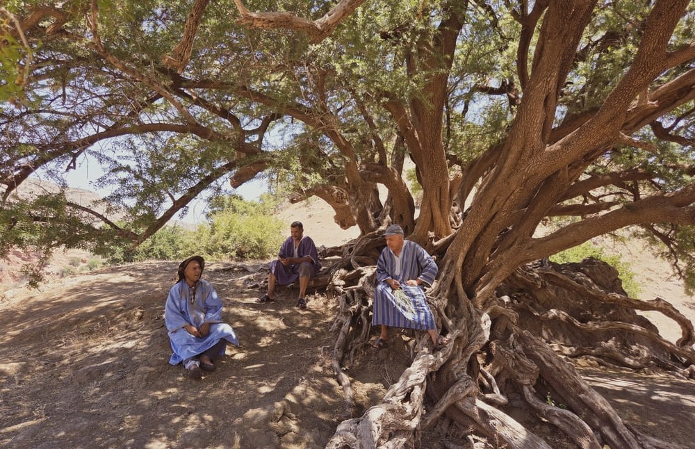 Pause-ombragee-sous-un-arbre-pour-les-randonneurs-dans-la-vallee-d_inzerki 2