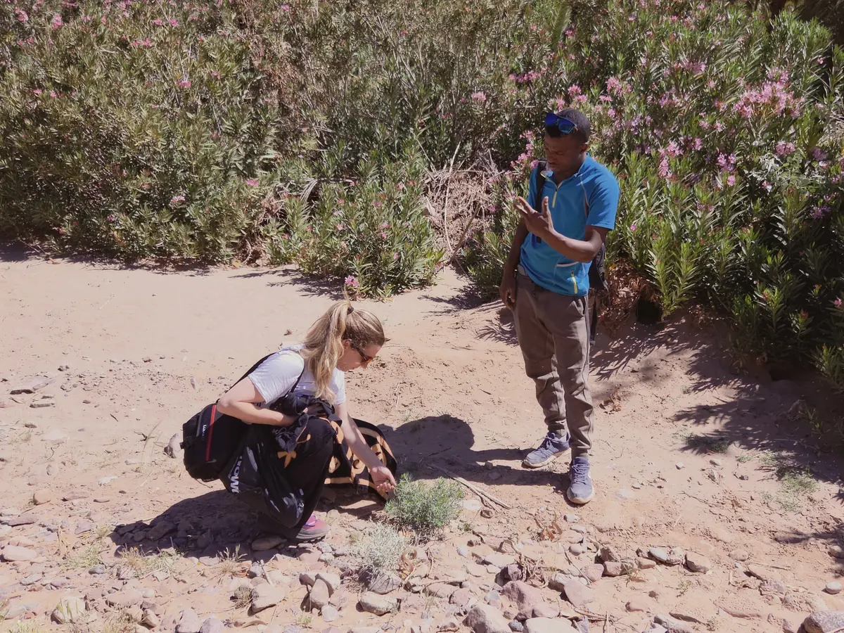 Oasis de Fint : le guide explique les plantes à une voyageuse accroupie sur le sentier, entre les lauriers roses