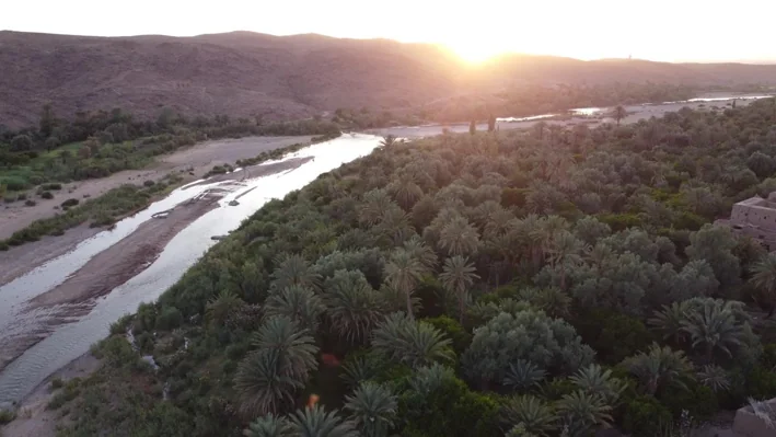 Vue aérienne de la palmeraie de Skoura et de l'oued au coucher du soleil