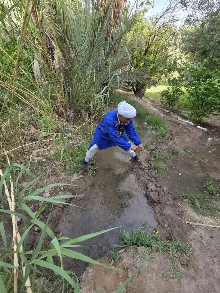 Guide ouvrant une séguia pour irriguer les parcelles de la palmeraie de Skoura