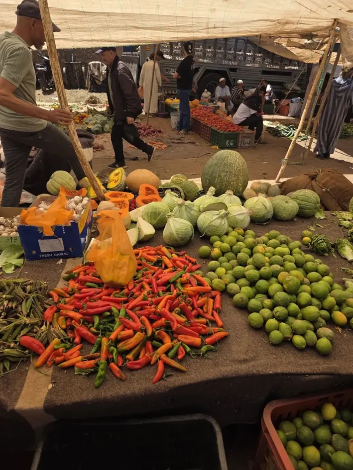 Étal de piments, citrons et melons au souk rural de Skoura