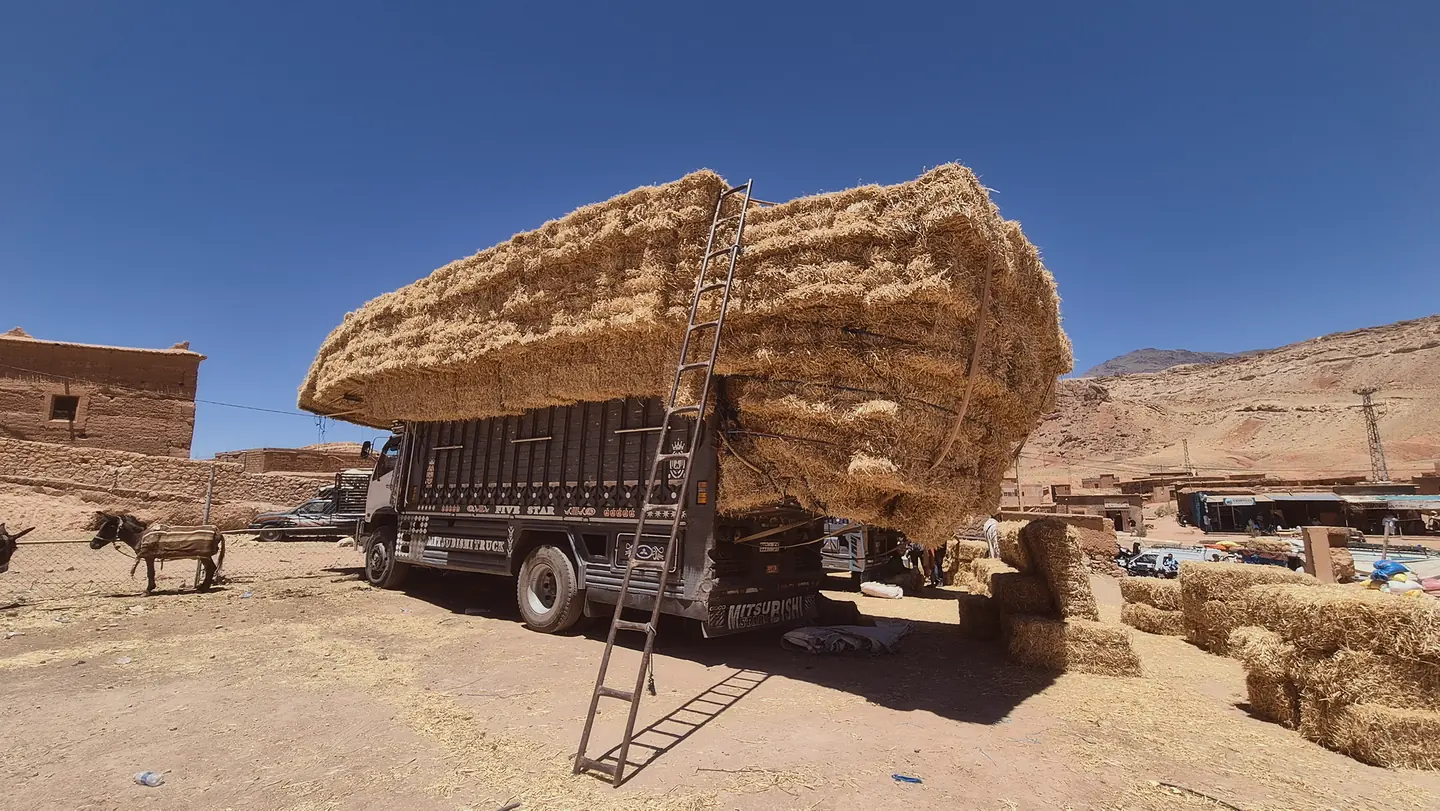 vallee-amandiers-maroc-camion-foin